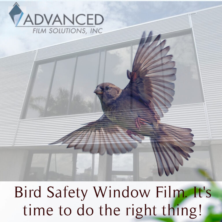 Bird Friendly Window Film For Florida Buildings