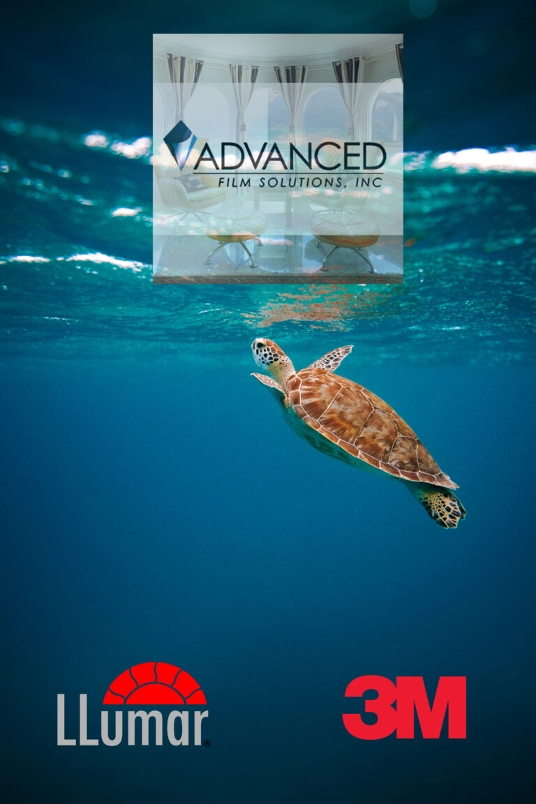 Protect Your View, Your Comfort, and Florida’s Sea Turtles with Advanced Film Solutions