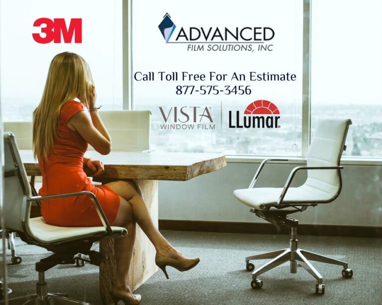 Cheers to 19 Years: Leading the Way in Tampa Bay Window Film