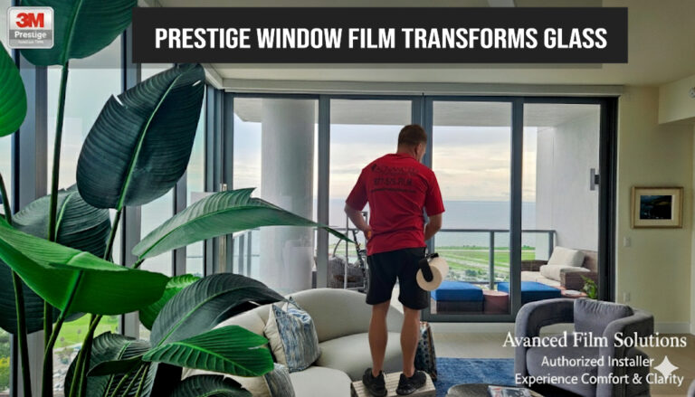 Protect Your View, Your Comfort, and Florida’s Sea Turtles with Advanced Film Solutions