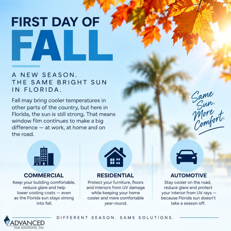 Embrace Fall Comfort: Why Tampa Bay Homeowners Choose Advanced Film Solutions Window Film